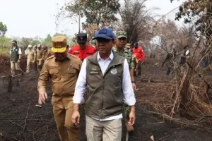 small_antarafoto_menhut_pantau_karhutla_di_kalimantan_barat_1787918057_b290409026